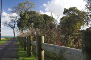 path leading to sea