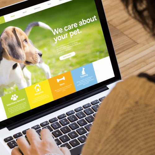 Increased Website Leads by 250%