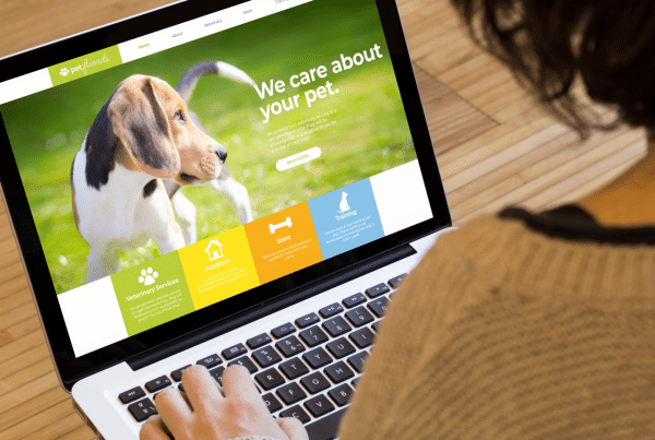 Increased Website Leads by 250%